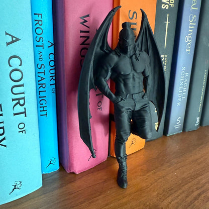 ACOTAR Cassian inspired book nook with Bat Boys fantasy bookshelf decor