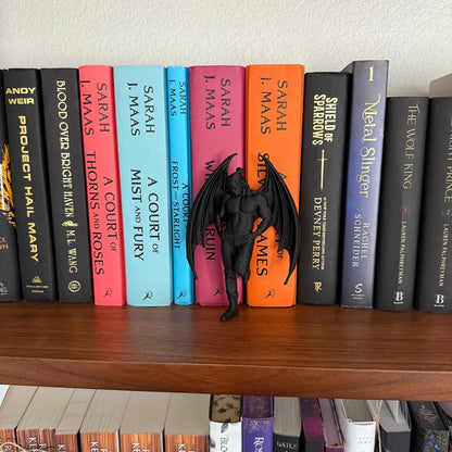 ACOTAR Cassian inspired book nook with Bat Boys fantasy bookshelf decor
