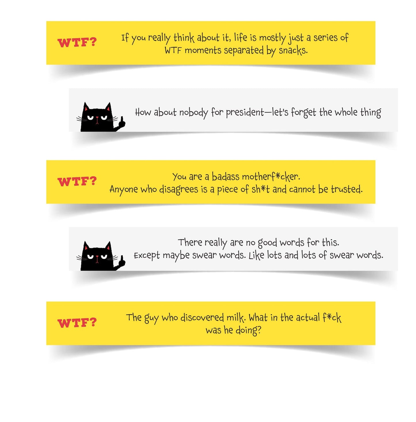 Funny WTF affirmation jar with 60 sarcastic motivational quote cards for stress relief and self-care