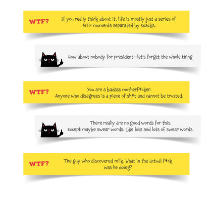 Funny WTF affirmation jar with 60 sarcastic motivational quote cards for stress relief and self-care