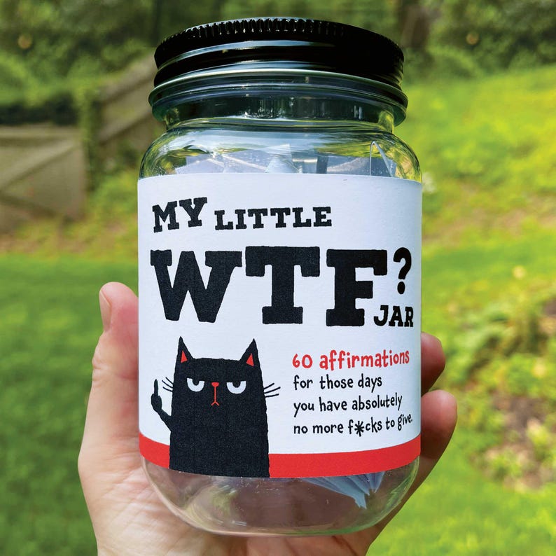 Funny WTF affirmation jar with 60 sarcastic motivational quote cards for stress relief and self-care