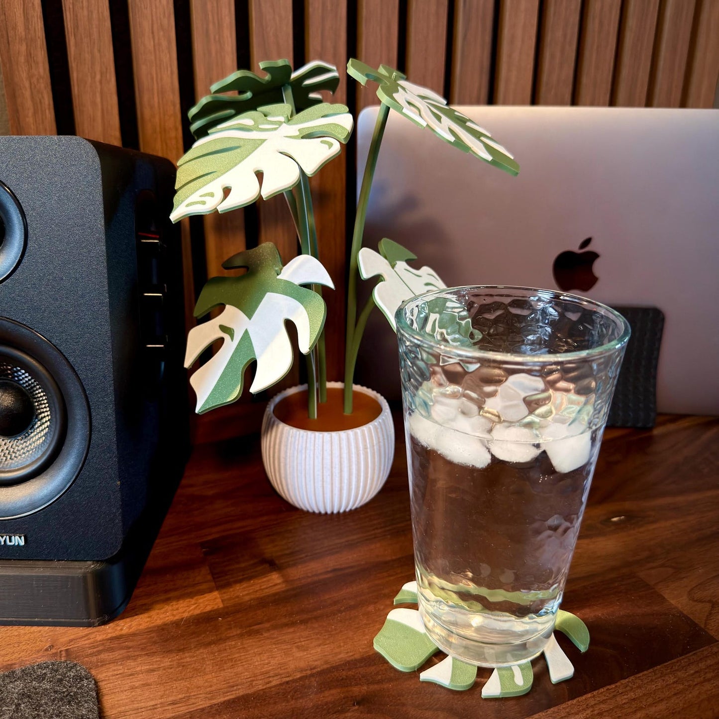 Modern Monstera plant coaster set with customizable pot and leaf colors