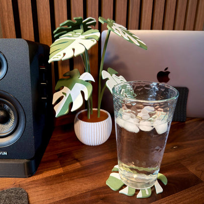 Modern Monstera plant coaster set with customizable pot and leaf colors