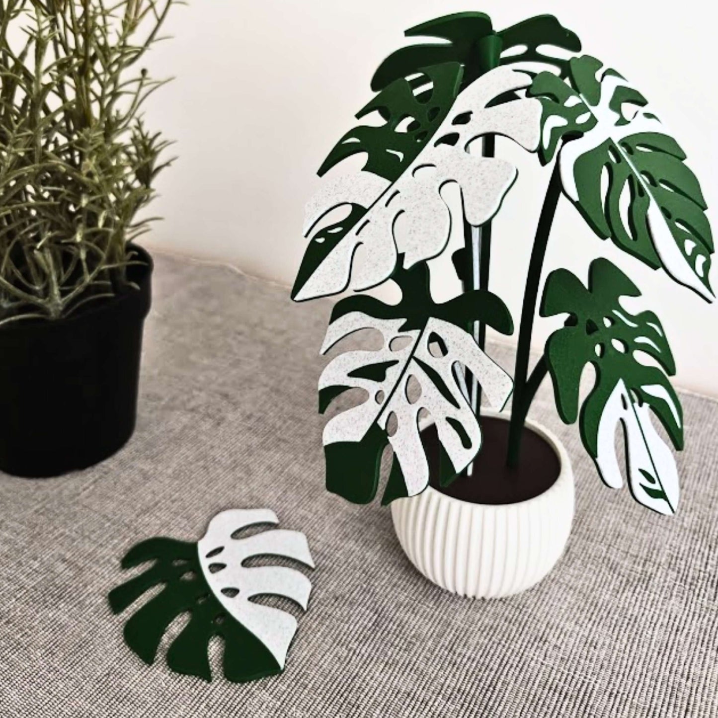 Monstera Leaf Coaster Set