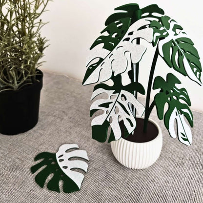 Monstera Leaf Coaster Set