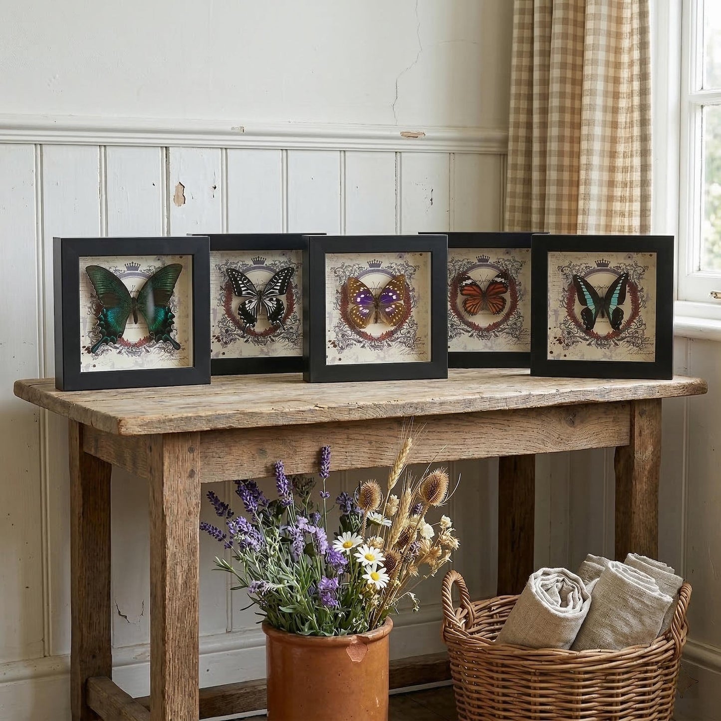 Real butterfly taxidermy in wood frame with vibrant jewel-tone wings entomology wall decor