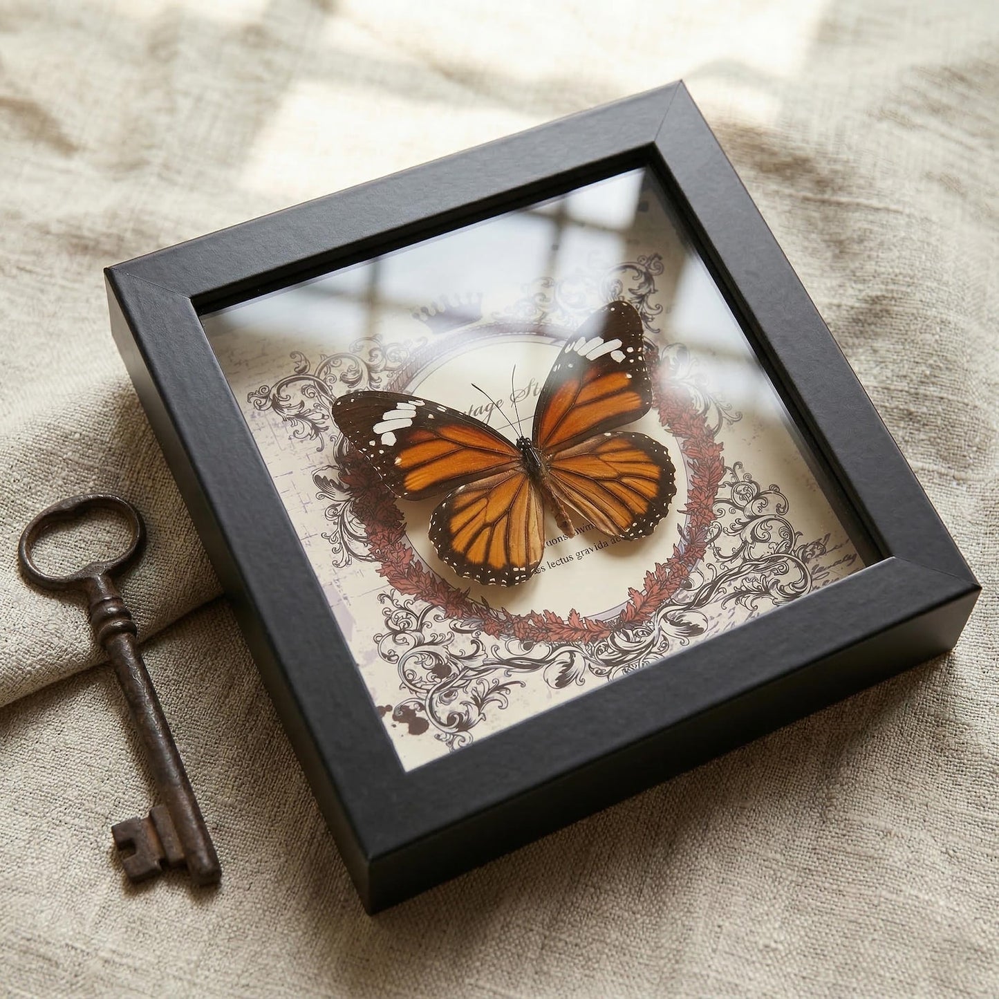 Real butterfly taxidermy in wood frame with vibrant jewel-tone wings entomology wall decor