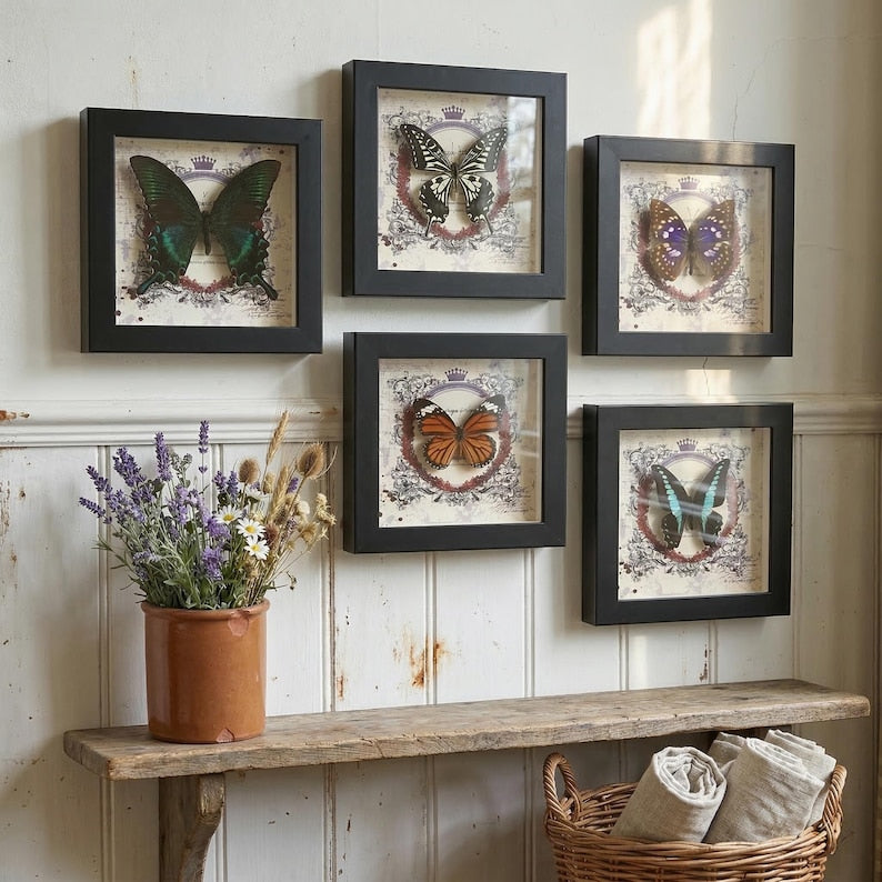 Real butterfly taxidermy in wood frame with vibrant jewel-tone wings entomology wall decor