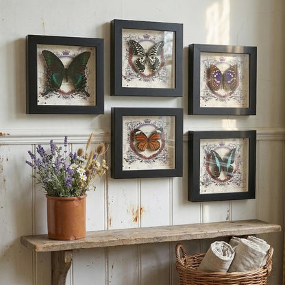 Real butterfly taxidermy in wood frame with vibrant jewel-tone wings entomology wall decor